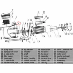 Pièce Détachée: Pompe De Piscine WilTec No. 50919 / 50920 / 50921 Joint Torique 6 -Pièce détachée de piscine Soldes 1081136 3