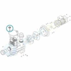 Poignée De Serrage Couvercle De Pompe - Hydroswim