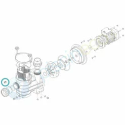 Insert Laiton Pour Pompe Série HPS Ou Série HGS - Hydroswim