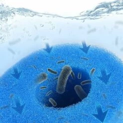 ALMI Éponge Filtrante Type A,Filtre De Piscine En Mousse,Filtre Éponge Cartouche,Mousse Pour Filtre Piscine Reutilisable,Filtre Spa Reutilisable (4pièces) 11 ALMI Éponge Filtrante Type A,Filtre De Piscine En Mousse,Filtre Éponge Cartouche,Mousse Pour Filtre Piscine Reutilisable,Filtre Spa Reutilisable (4pièces) -Pièce détachée de piscine Soldes 55343925 5